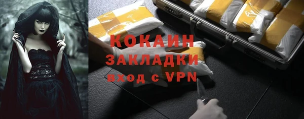 прущие грибы Ахтубинск