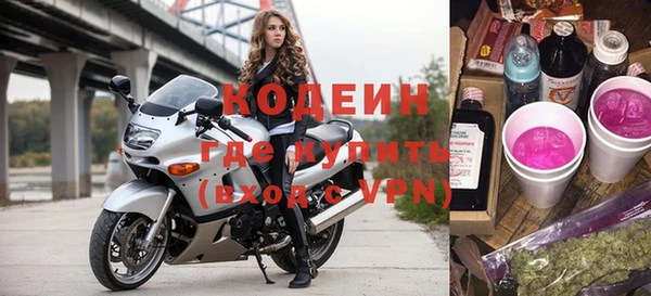 прущие грибы Ахтубинск